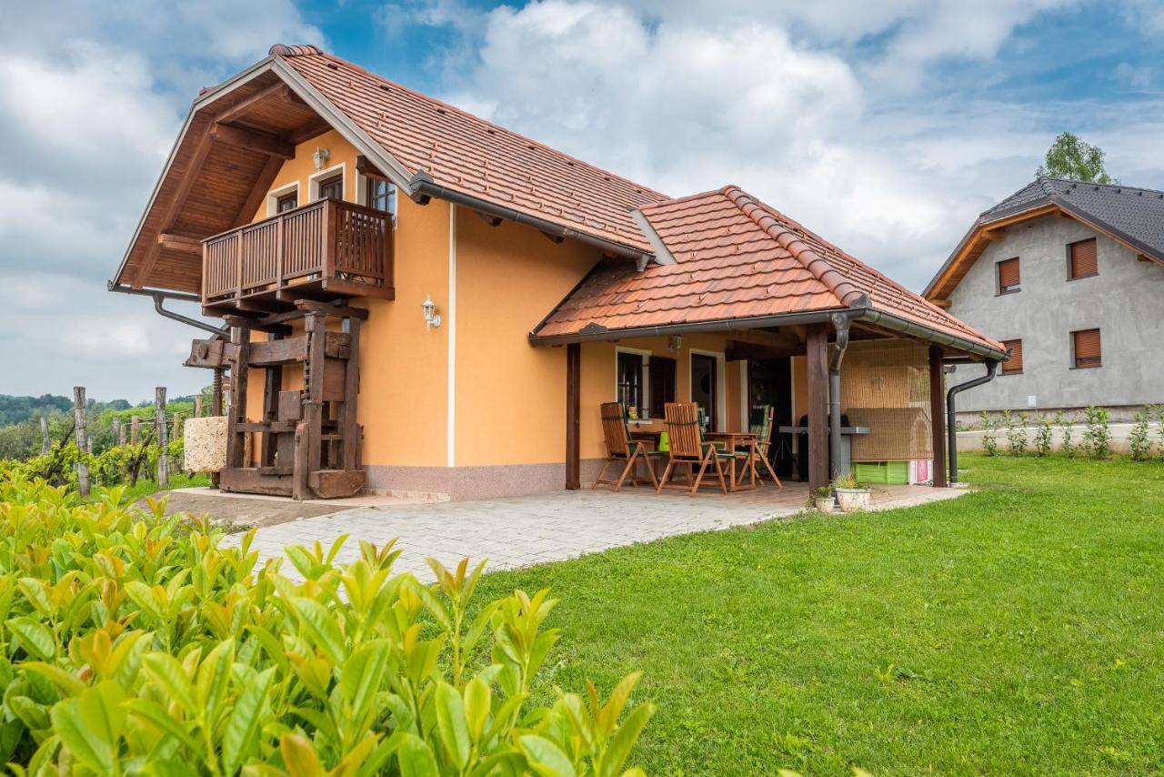 Wineyard Getaway House Villa Sevnica Exteriör bild